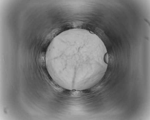 X0000102010527200808151255