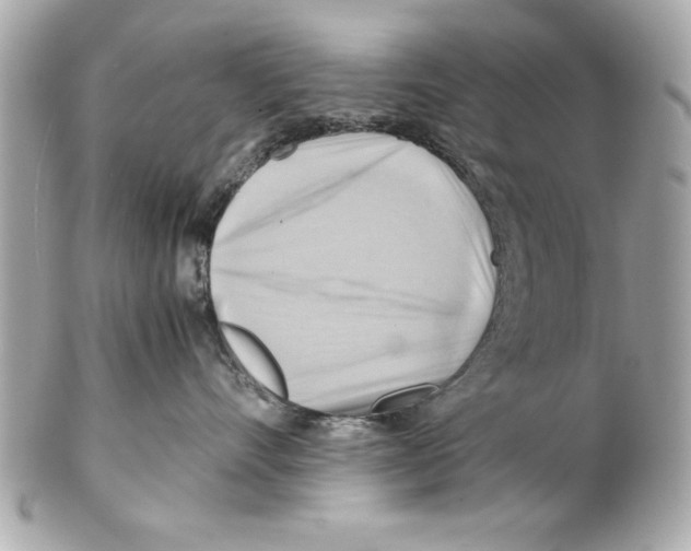 X0000102010528200808151255