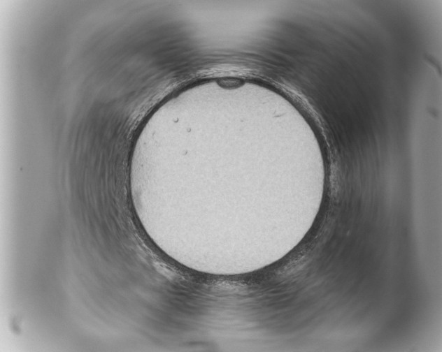 X0000102010529200808151254