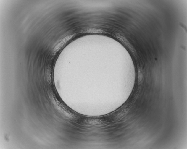 X0000102010533200808151254