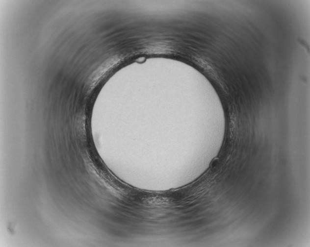 X0000102010535200808151254