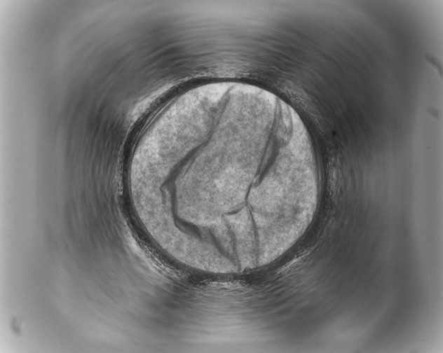 X0000102010536200808151254