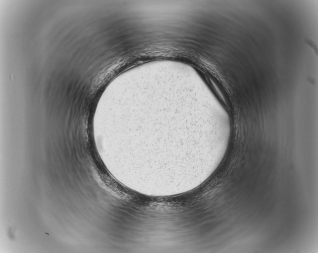 X0000102010538200808151254