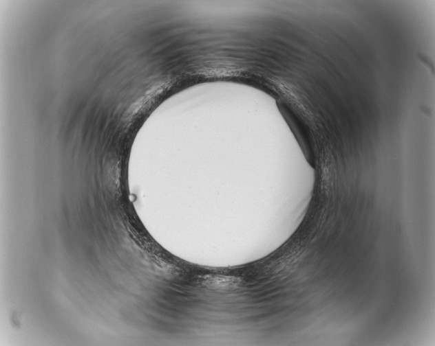 X0000102010539200808151254