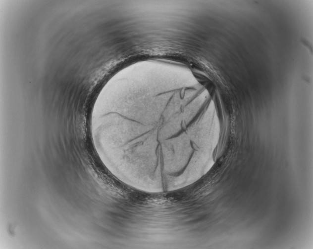 X0000102010540200808151254