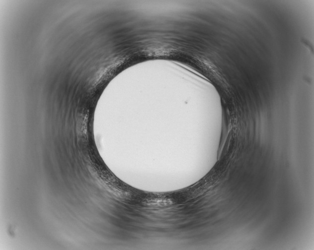 X0000102010543200808151254