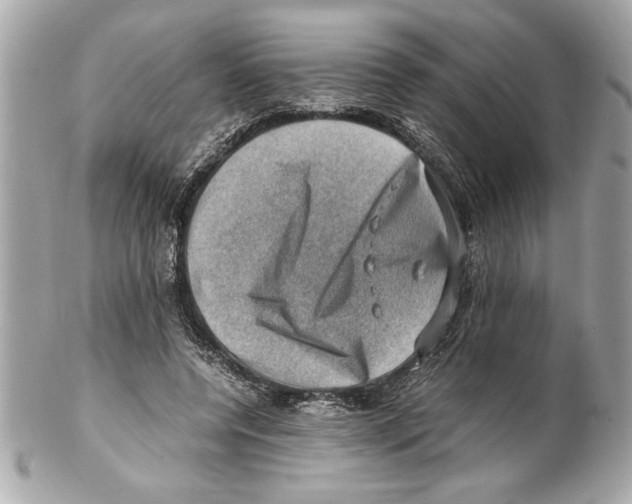 X0000102010544200808151254