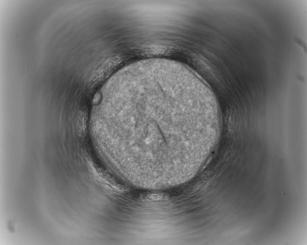 X0000102010546200808151254