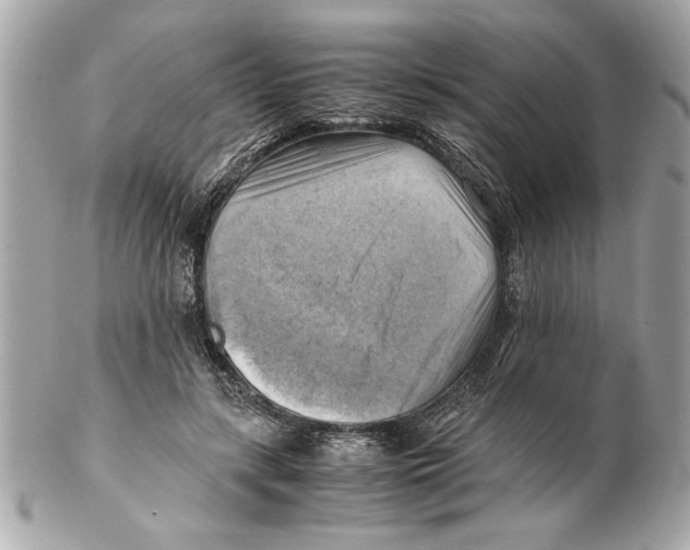 X0000102010547200808151254