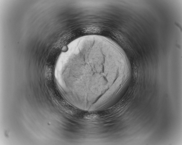 X0000102010551200808151254