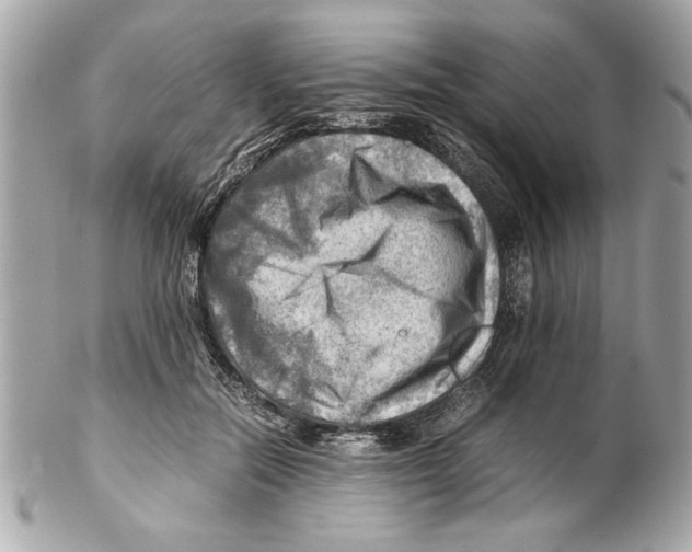 X0000102010554200808151254