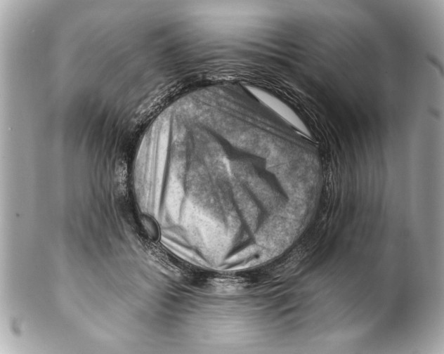 X0000102010556200808151254