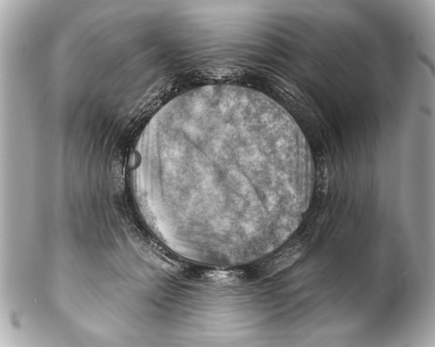 X0000102010558200808151254