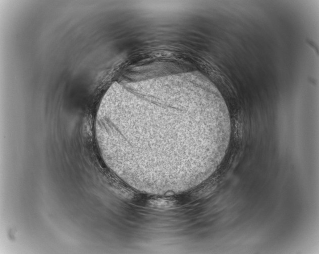 X0000102010561200808151254