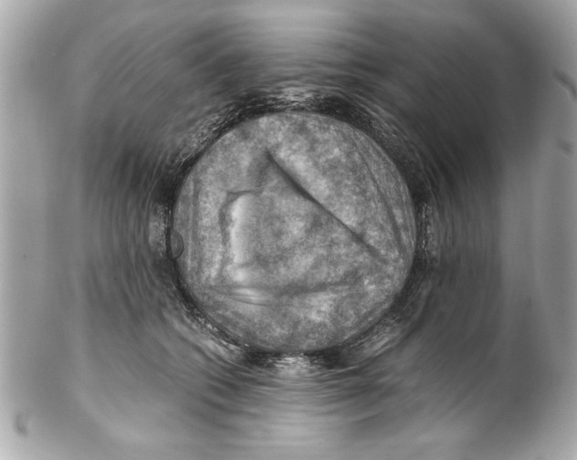 X0000102010562200808151254