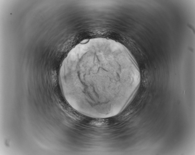 X0000102010563200808151254