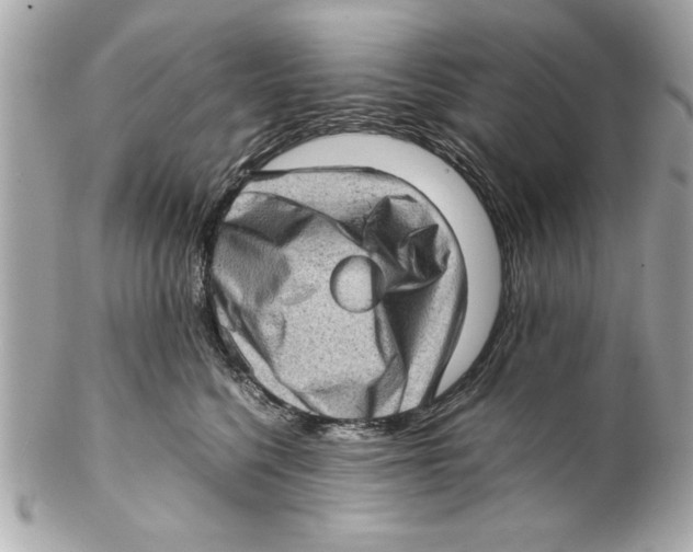 X0000102010568200808151254