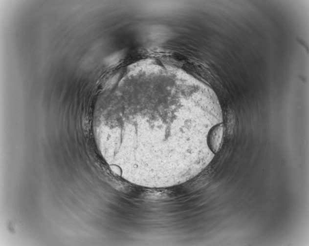 X0000102010569200808151254