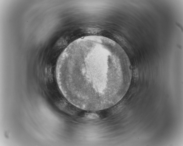 X0000102010572200808151254