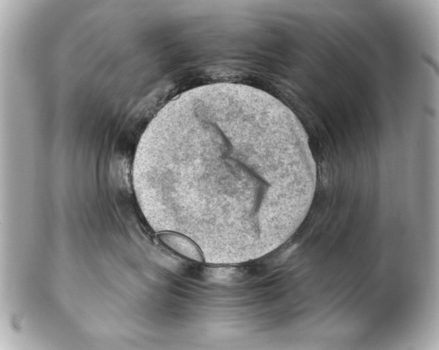 X0000102010575200808151255