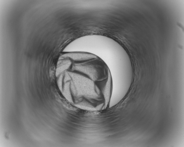 X0000102010576200808151255