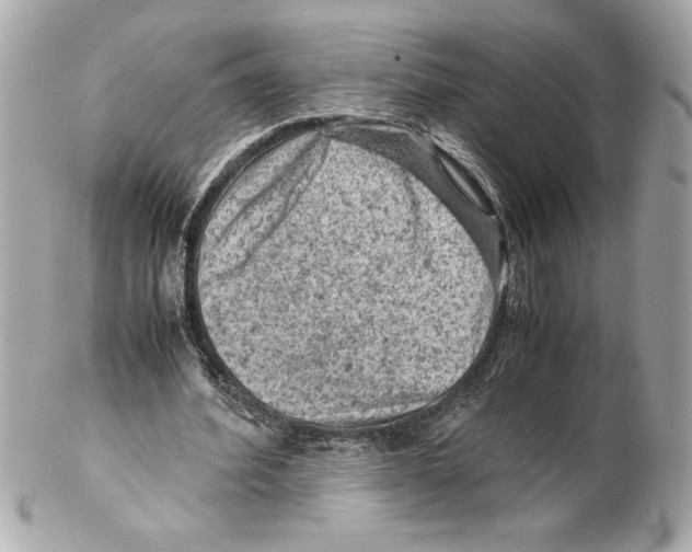 X0000102010580200808151254