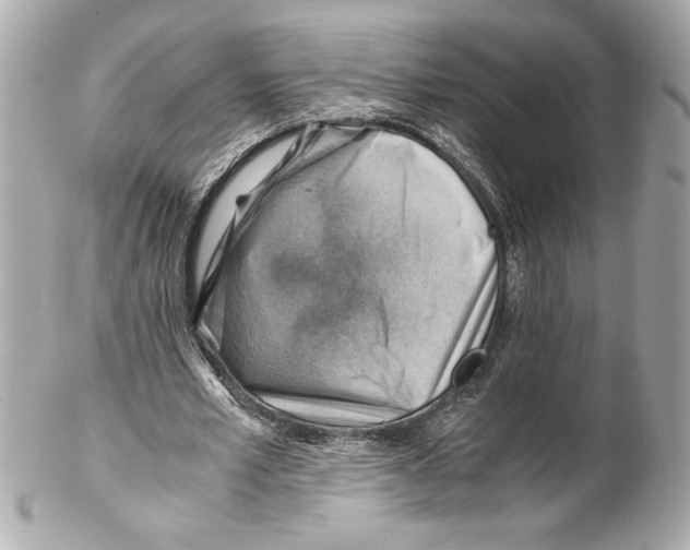 X0000102010581200808151254