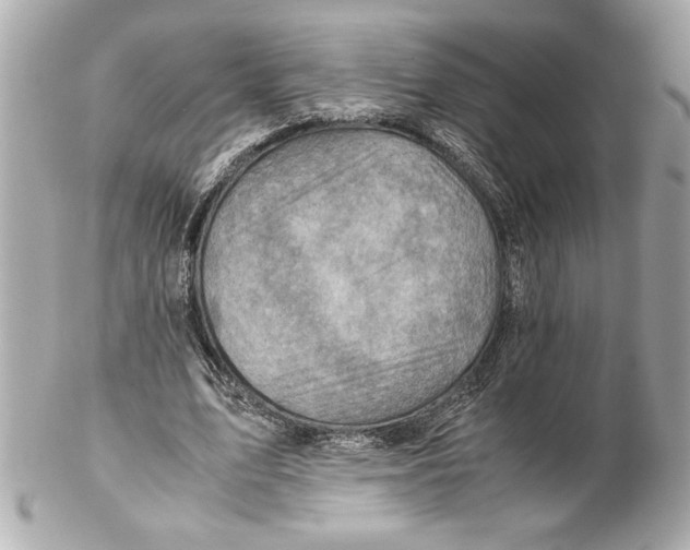 X0000102010583200808151254