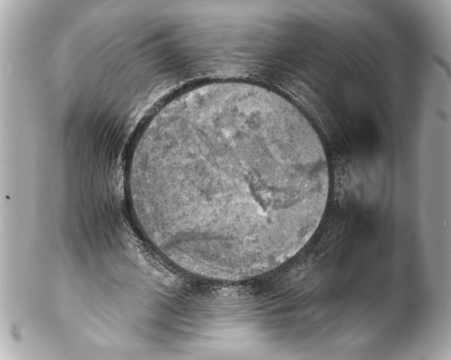 X0000102010584200808151254