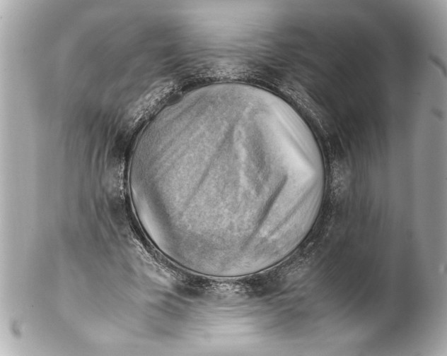 X0000102010585200808151254