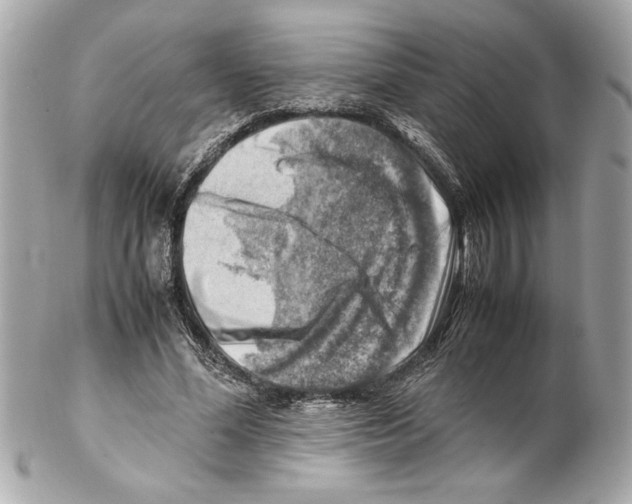 X0000102010588200808151254