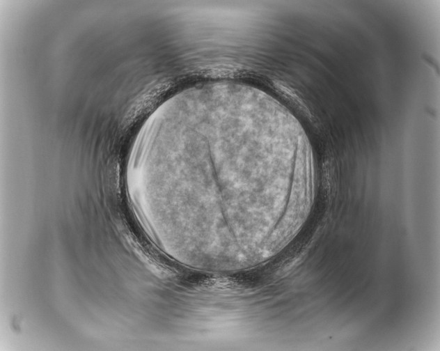 X0000102010589200808151254