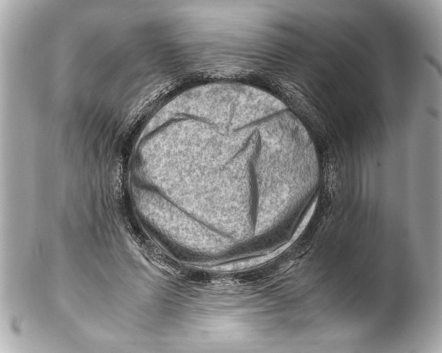 X0000102010591200808151254