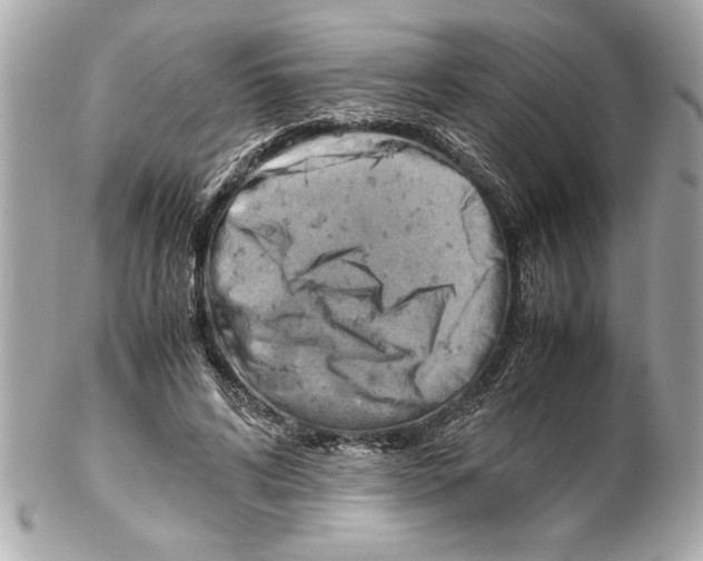 X0000102010592200808151254