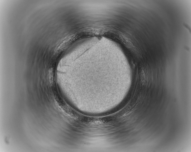 X0000102010594200808151254