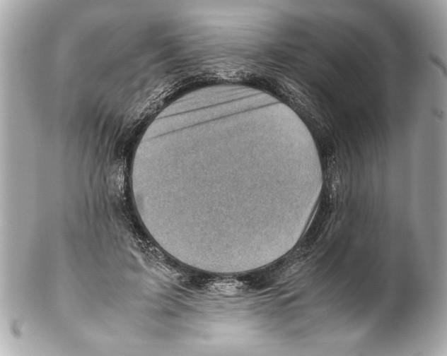 X0000102010595200808151254