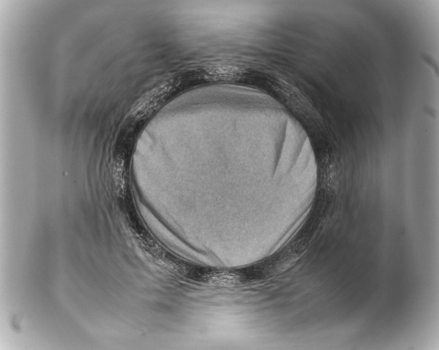 X0000102010599200808151254