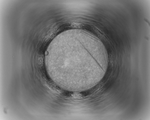 X0000102010603200808151253