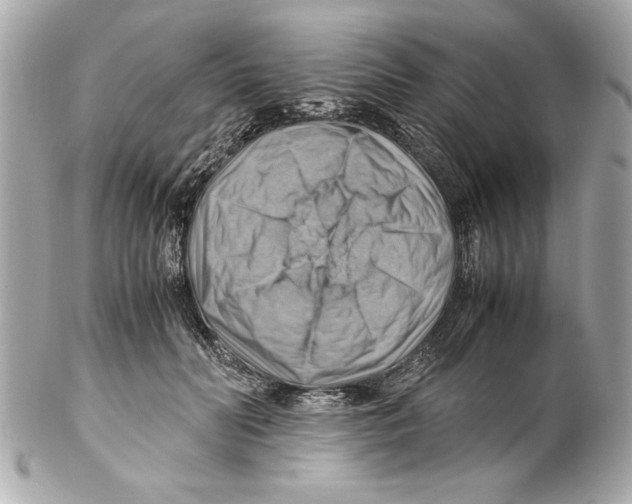 X0000102010606200808151253