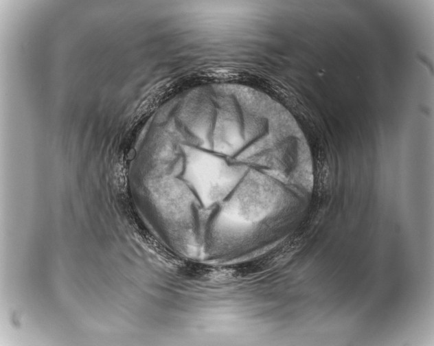 X0000102010609200808151253