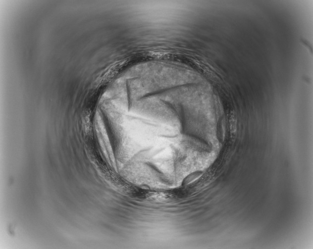 X0000102010611200808151253