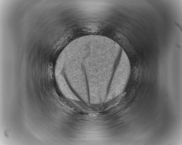 X0000102010612200808151253