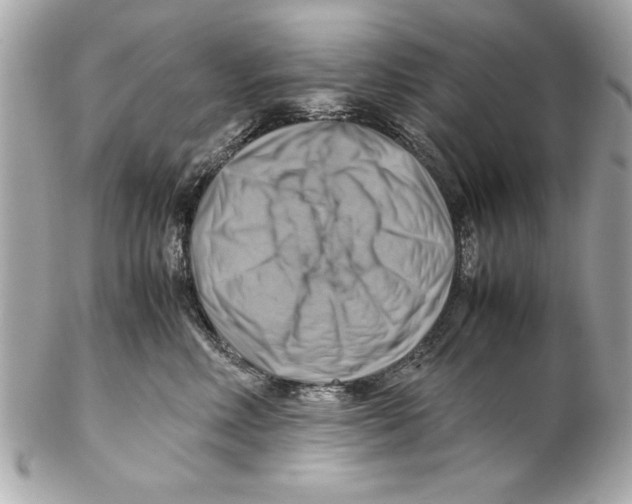 X0000102010618200808151253