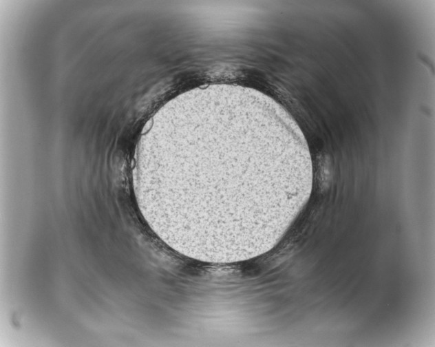 X0000102010619200808151253