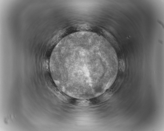 X0000102010621200808151253