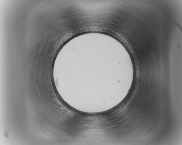 X0000102010625200808151252