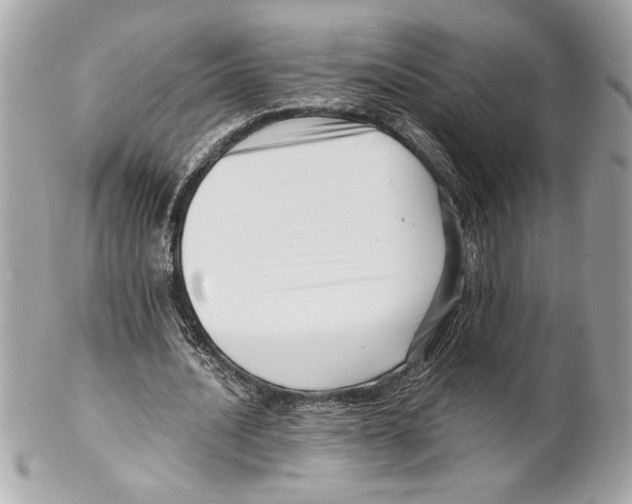 X0000102010628200808151252