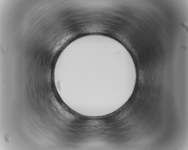 X0000102010629200808151252