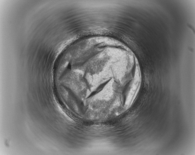 X0000102010630200808151252