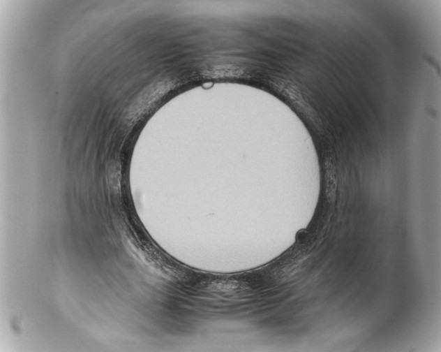 X0000102010631200808151252